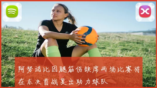 阿努诺比因腿筋伤缺席两场比赛将在东决首战复出助力球队