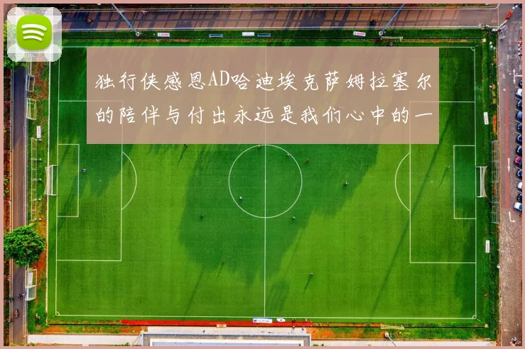 独行侠感恩AD哈迪埃克萨姆拉塞尔的陪伴与付出永远是我们心中的一家人