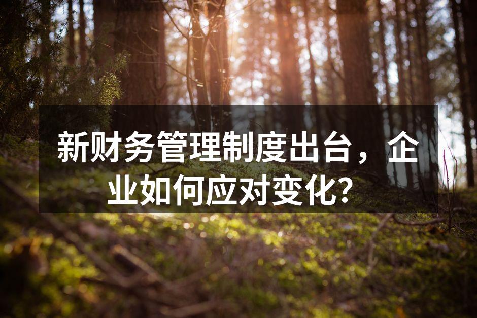 新财务管理制度出台，企业如何应对变化？