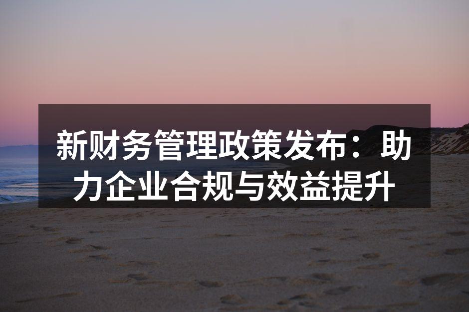 新财务管理政策发布：助力企业合规与效益提