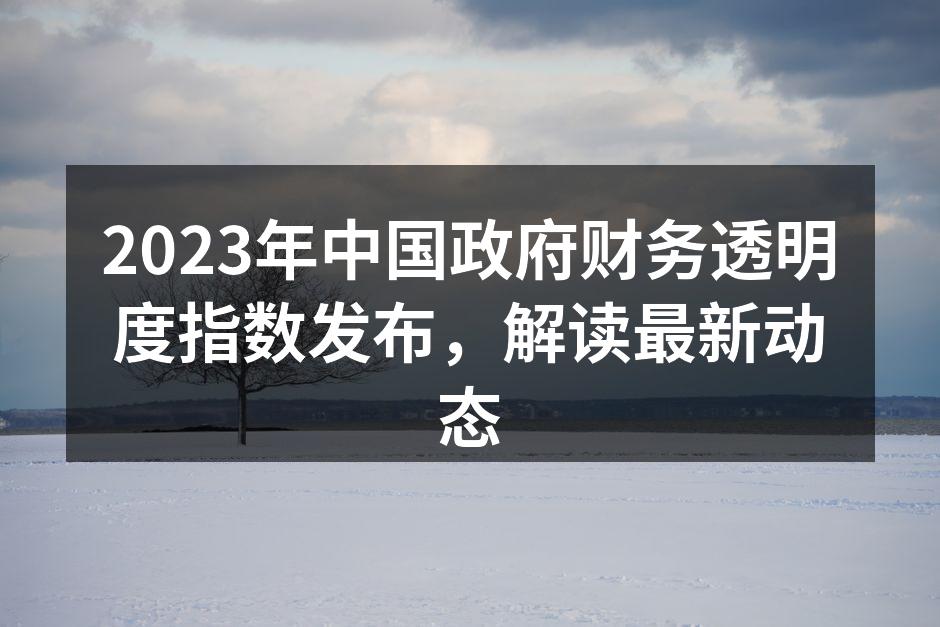 2023年中国政府财务透明度指数发布，解