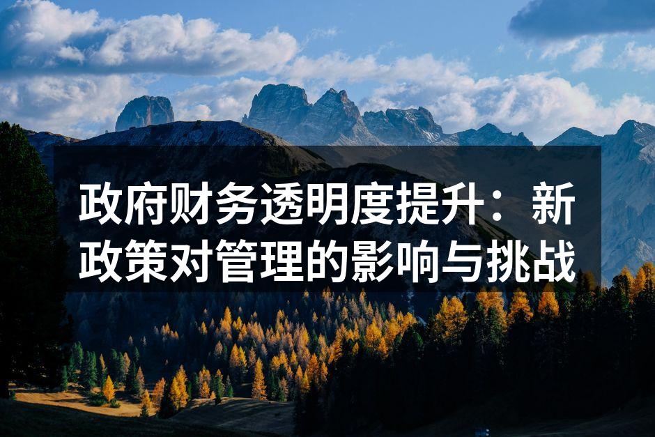 政府财务透明度提升：新政策对管理的影响与