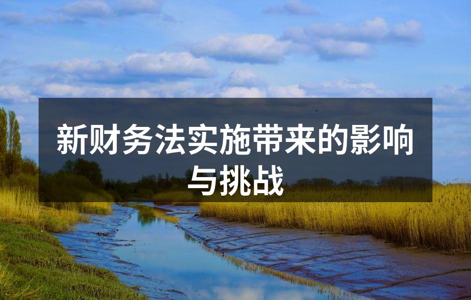 新财务法实施带来的影响与挑战