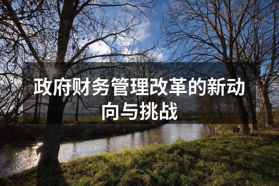 政府财务管理改革的新动向与挑战